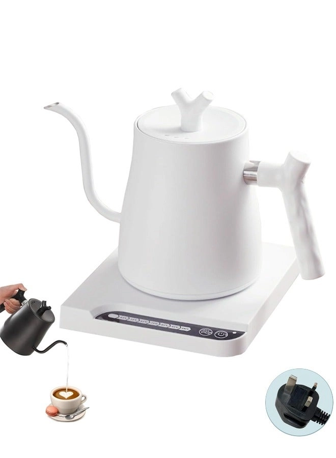 PAKCHOICE Gooseneck Electric Kettle white