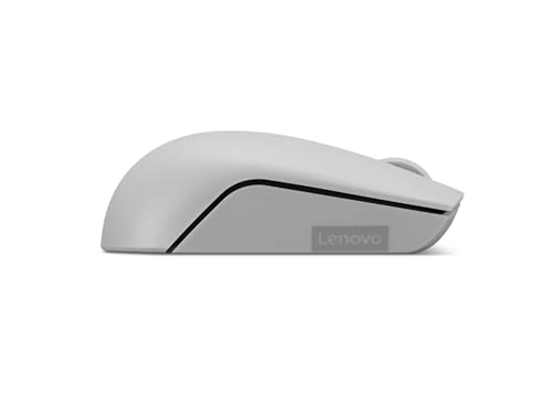 300 Compact Mouse - Wireless