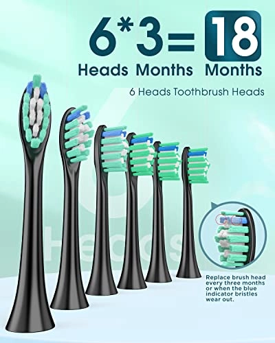 Y01 - 6 Brush Heads Type C 180 Days