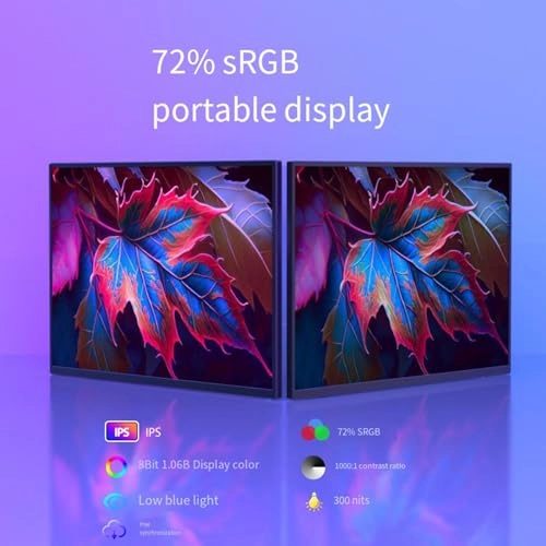 Portable Monitor - 1080P 14-Inch