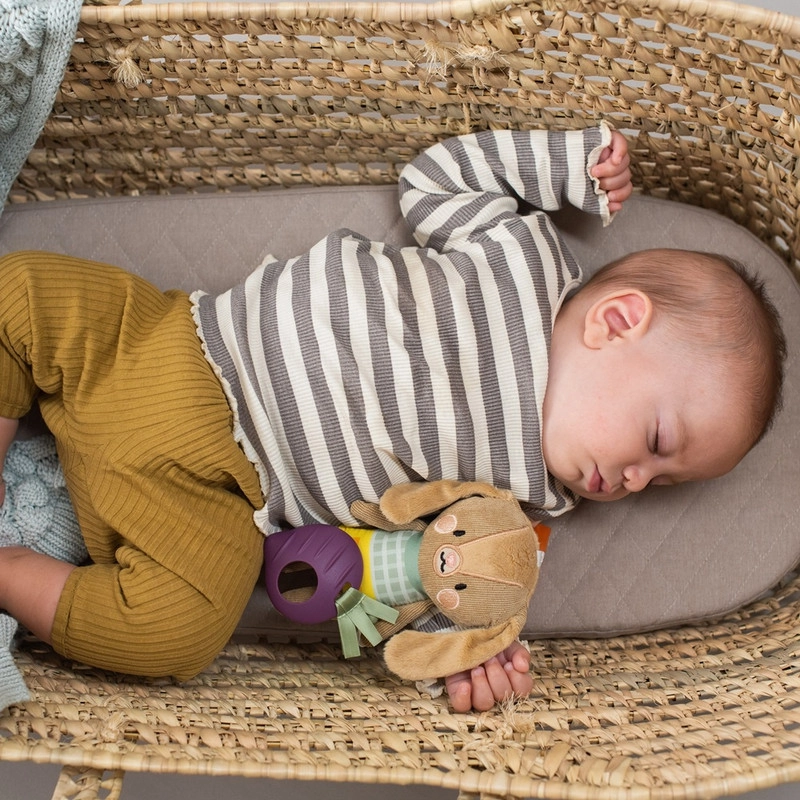 Jenny The Bunny - 0 MONTH +