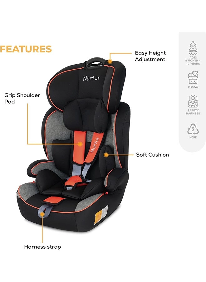 Ragnar - Seat Belt