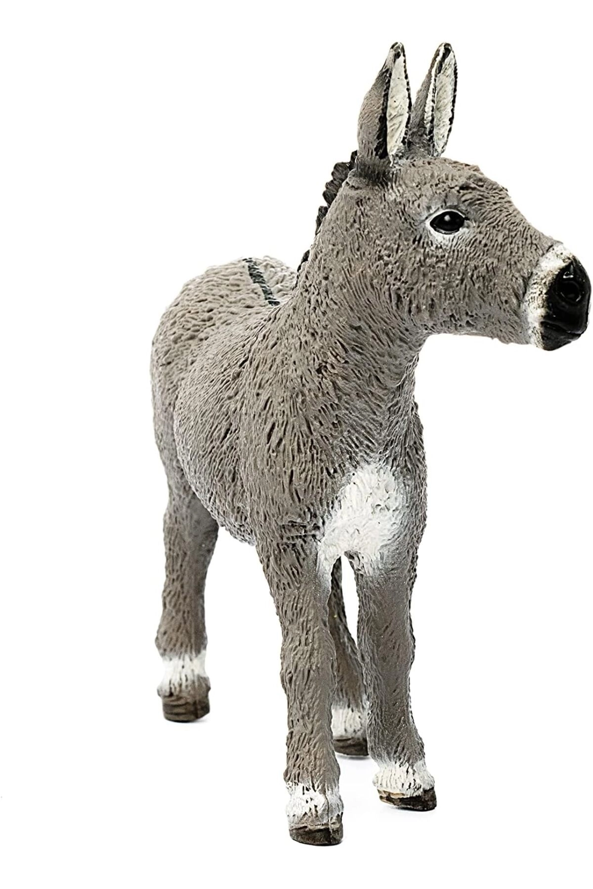 Donkey - 3 years 1 Piece (9.5 cm) (13772)