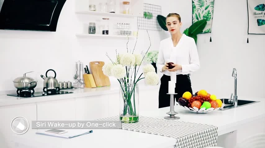 V9110B_P Wireless Headset