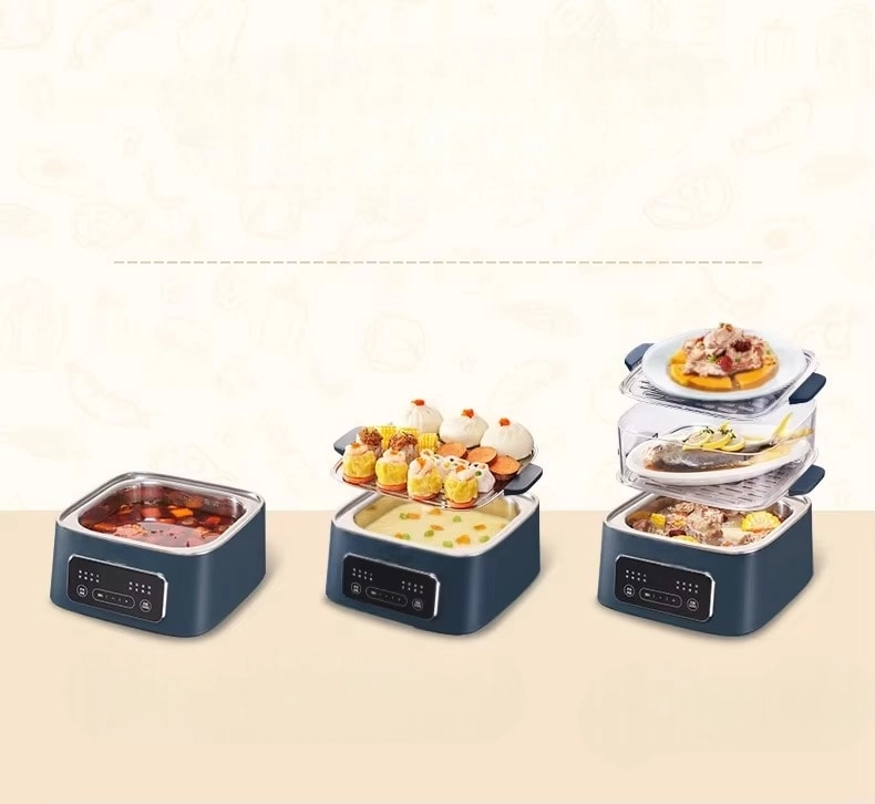 Electric Steamer for Food