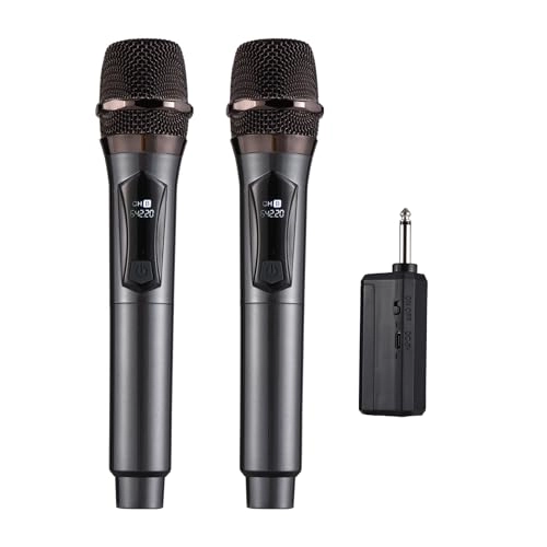 Weless Microphone System - 2 Microphones 2.4G