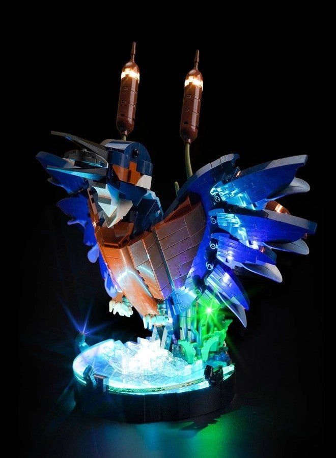 Vonado LED Light Kit - Compatible with Kingfisher Bird 10331 Lights Only