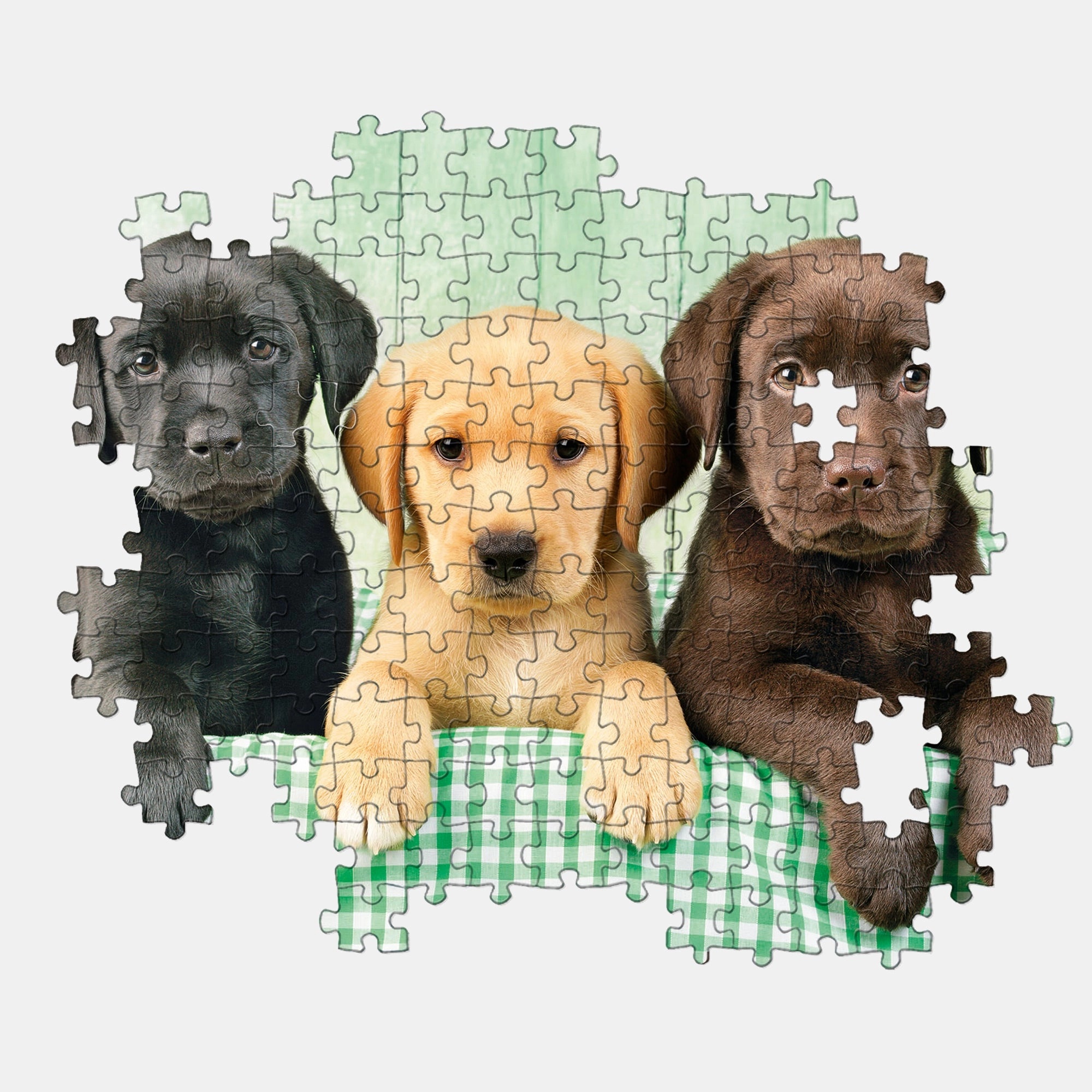 The Three Labradors Puzzle (B184102) - 1000 pcs