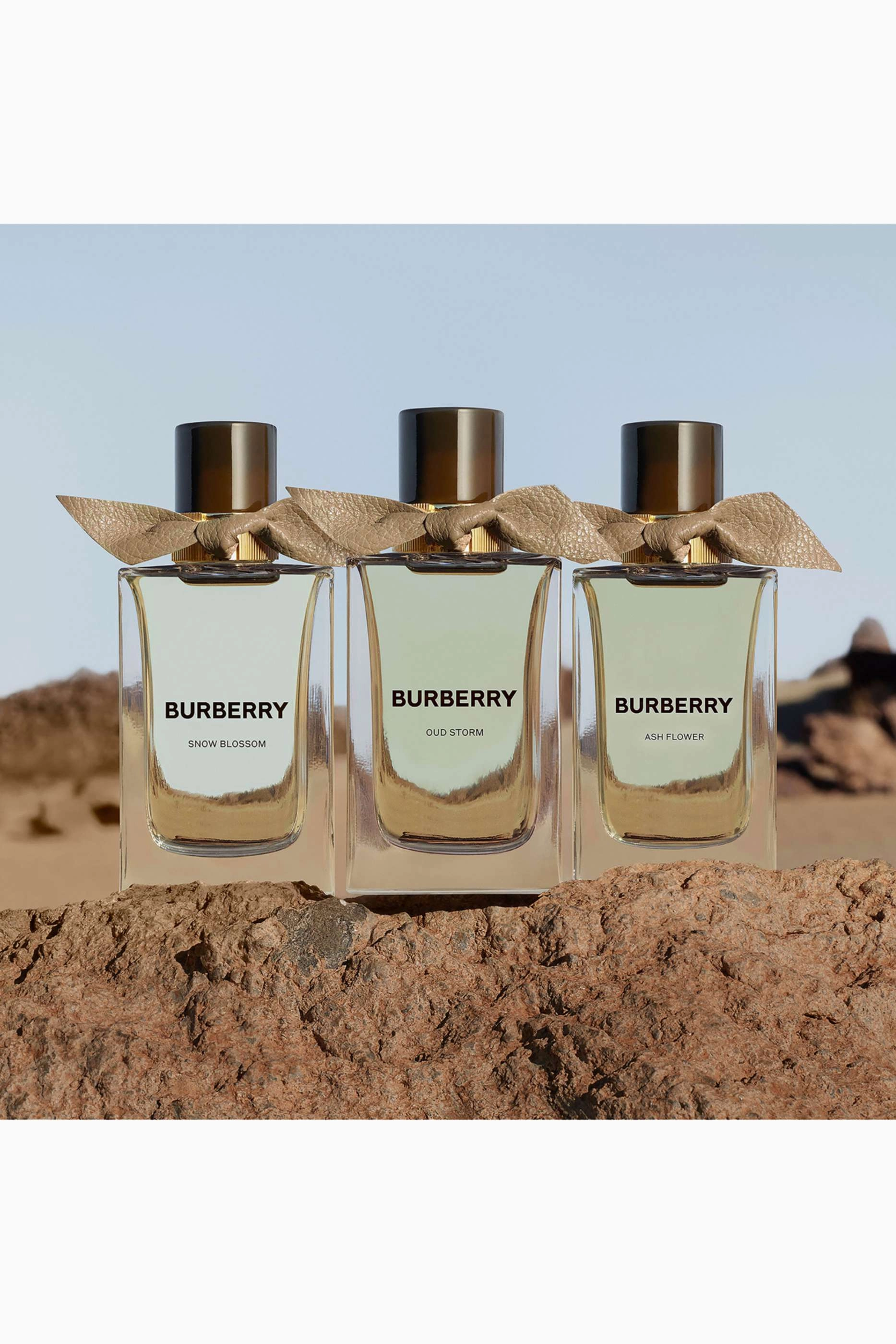 Oud Storm Eau de Parfum 100 ml