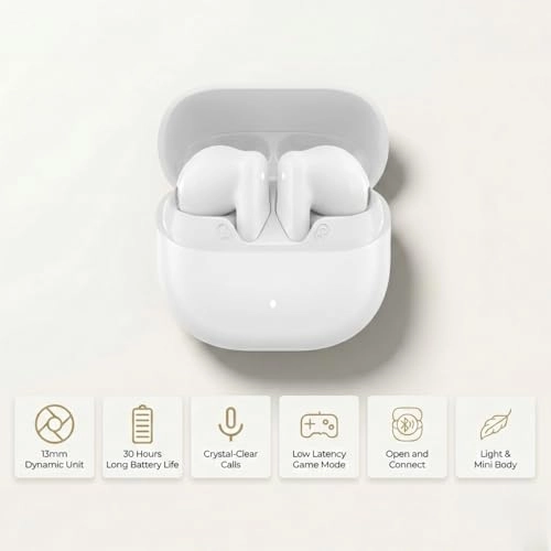 TWS-D240 Wireless Earbud