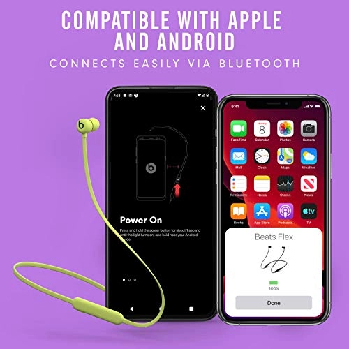 Flex Wireless Earphones