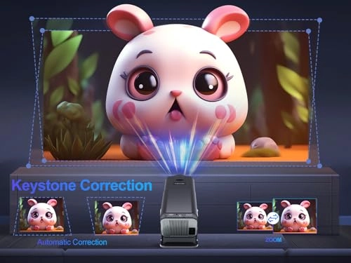 HY320 NTV 320 ANSI lumens