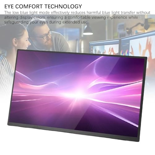 Portable Display - 1080P 18.5 inch