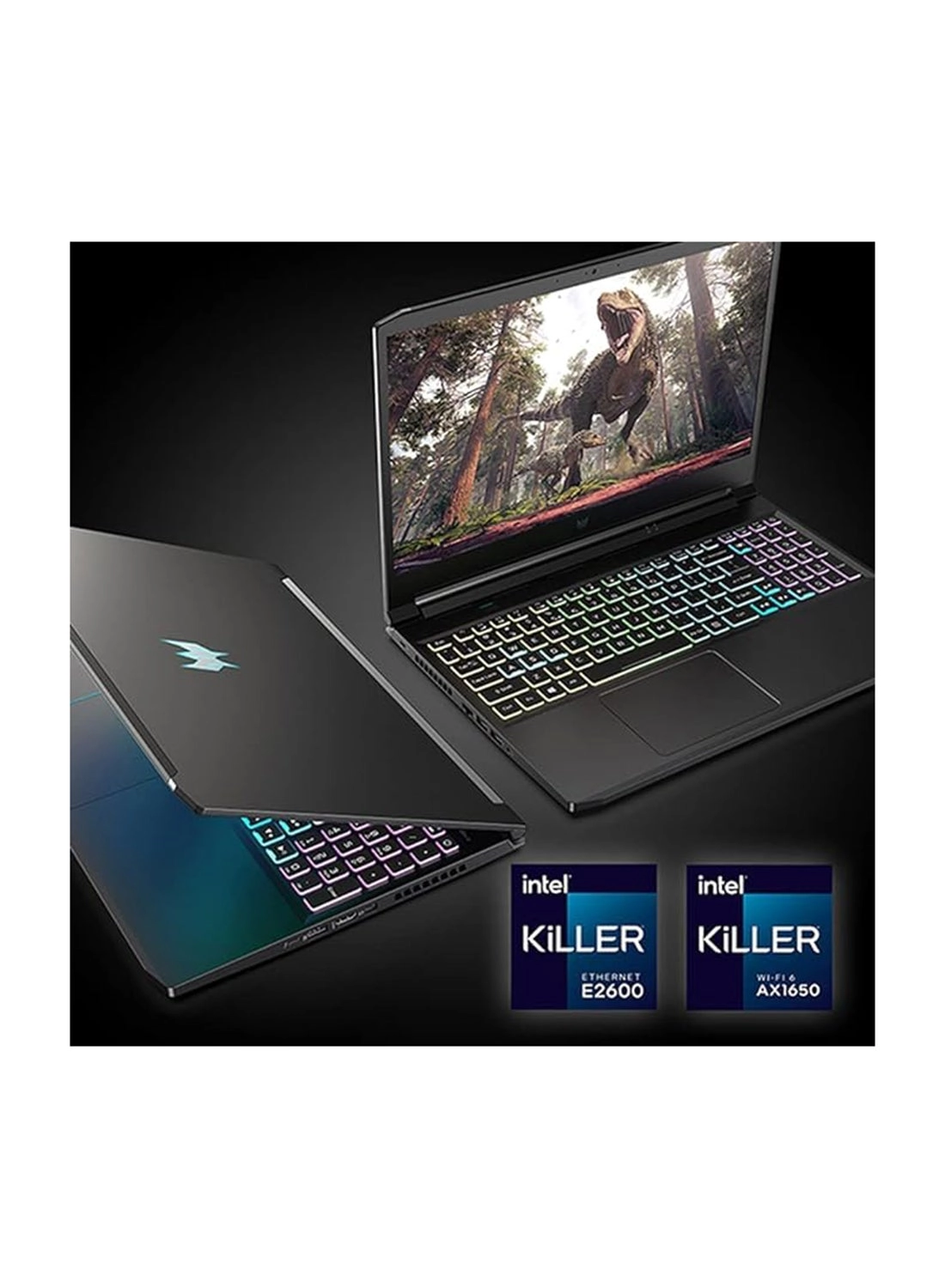 Predator Triton 300 PT315-53-75XX - 15.6'' Core i7-11800H 32GB DDR4 1TB SSD