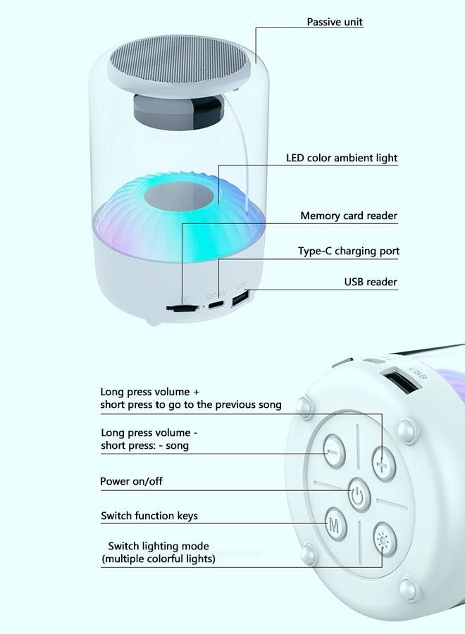 Bluetooth Speaker - Type-C