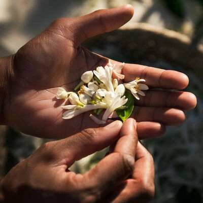 L'INTERDIT Eau de Parfum 50 ml