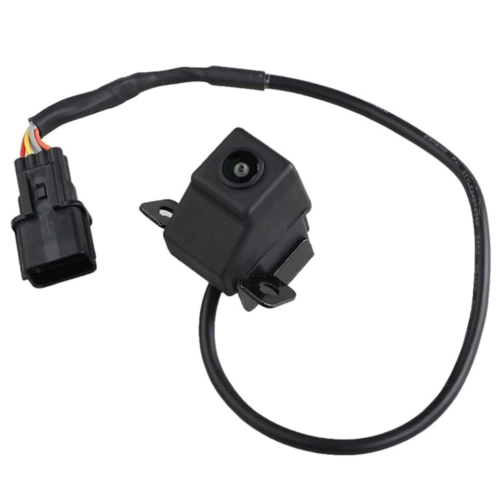 Reversing Camera - Night