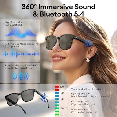 HY-C8 - 144 Languages Bluetooth 5.4 Black