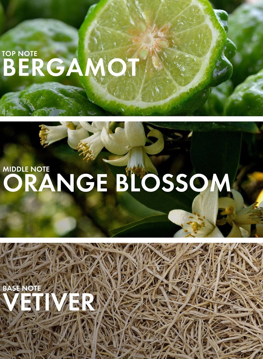 Floral Mandarin Eau de Parfum 50 ml