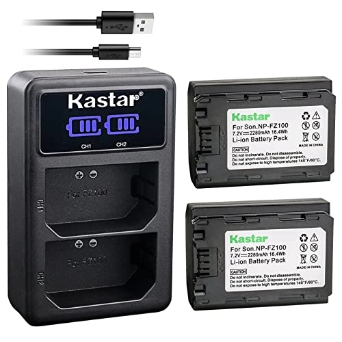 NP-FZ100 Battery - 2280mAh + LED2 USB Charger