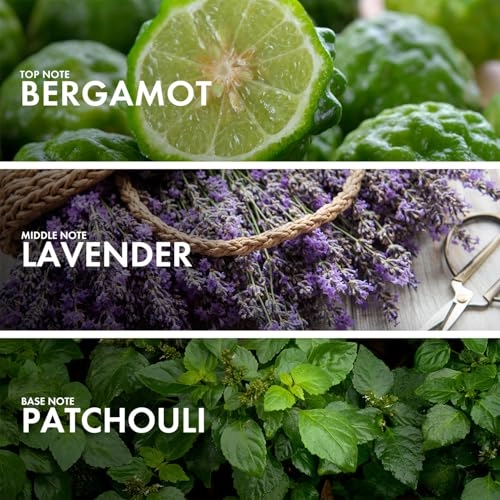 Lavendery Patchouli - Eau de Parfum 50ml