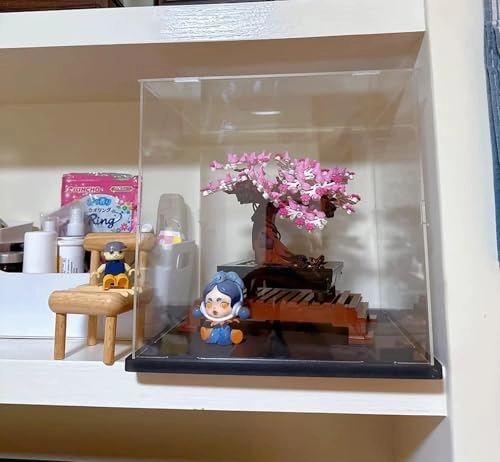 Acrylic Display Case - 25 x 25 x 25 cm Black base