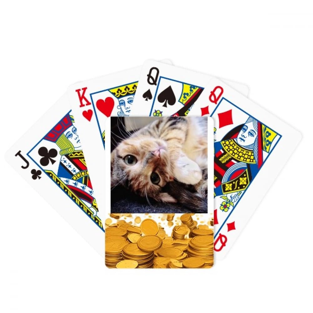 no/no Stripes Kitty Cat - Bridge Size 52 cards