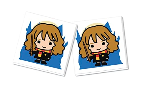 Memo Pocket Harry Potter - 4 Years 48 pieces