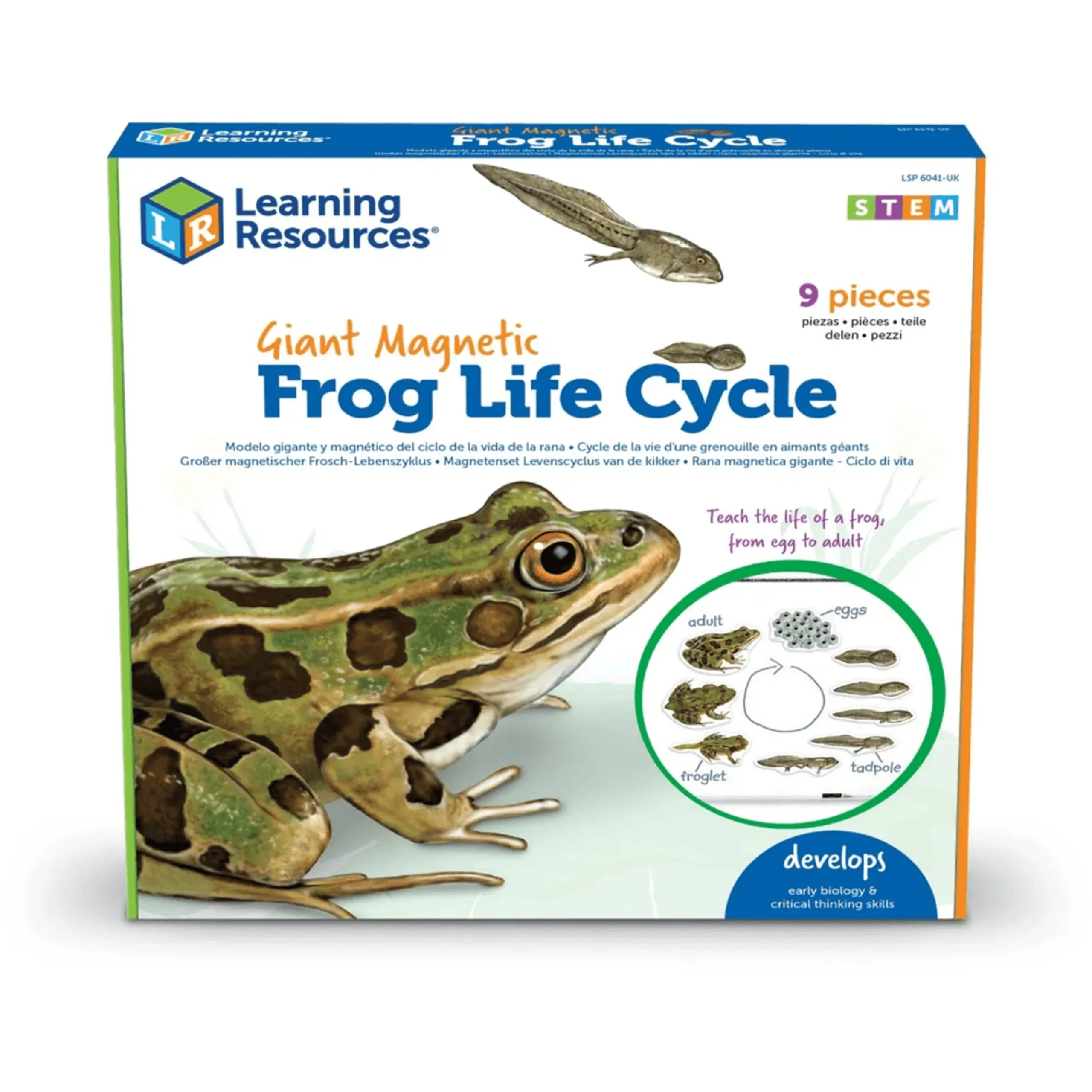 Learning Resources Giant Magnetic Frog Life Cycle Demonstration Set Science - 5 years+ 9 pieces