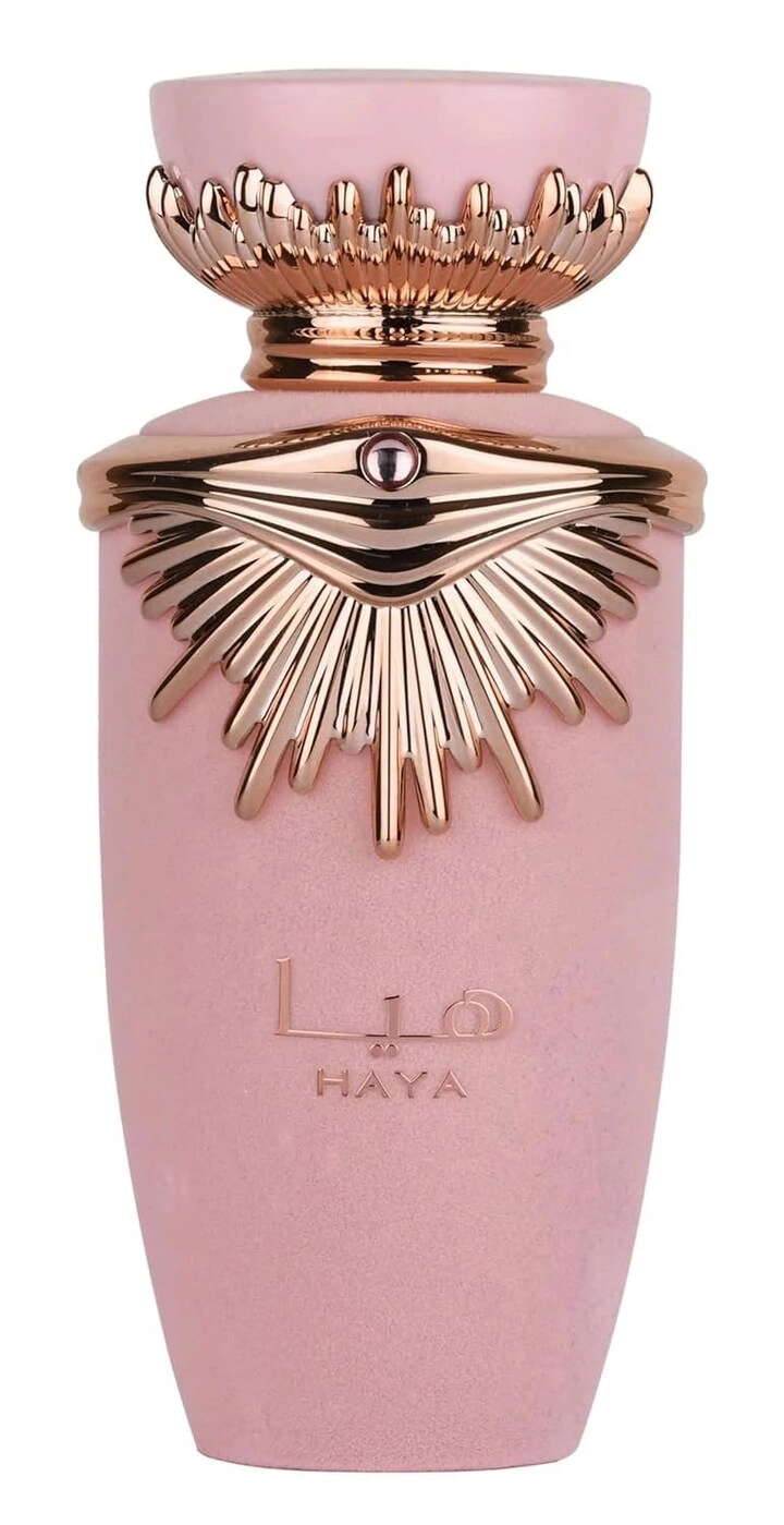 Dj Perfumes Haya Eau de Parfum 100 ml