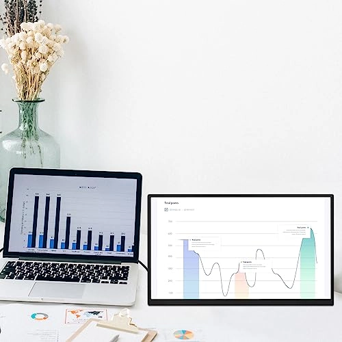 Portable Monitor - 1920 x 1080 18.5 inch