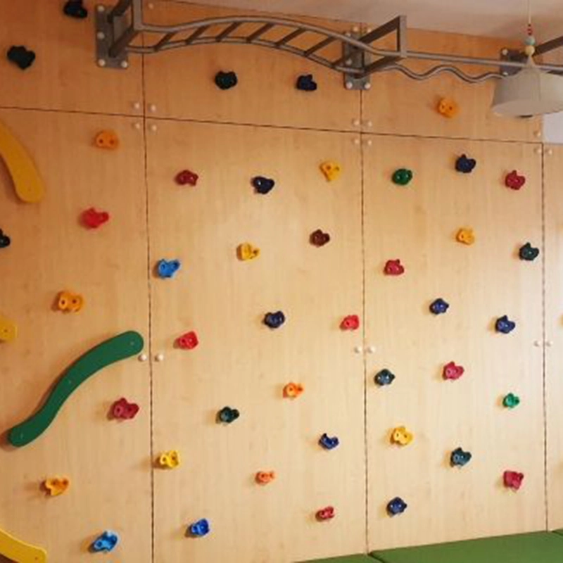 Climbing Wall - Monkey Bars Fireman Pole 560 x 50 x 300 cm
