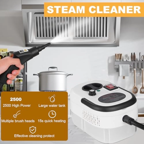 Hand Held Steam Cleaner