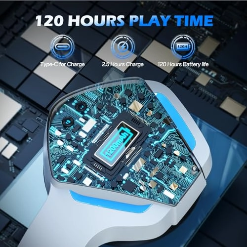 BW01-BT Wireless Headset