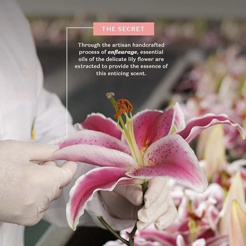 Lily Eau de Parfum 75ml