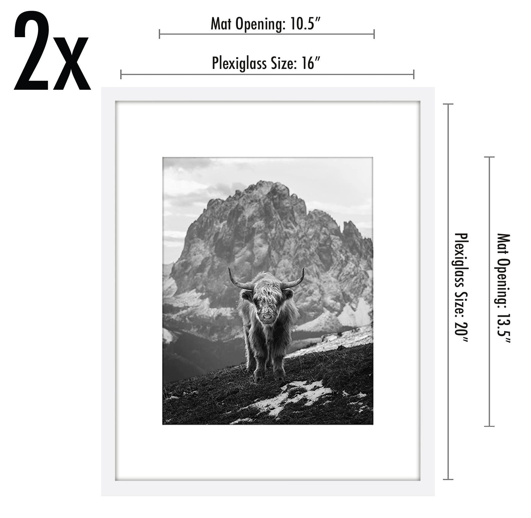 Front Loading Picture Frame - 16X20