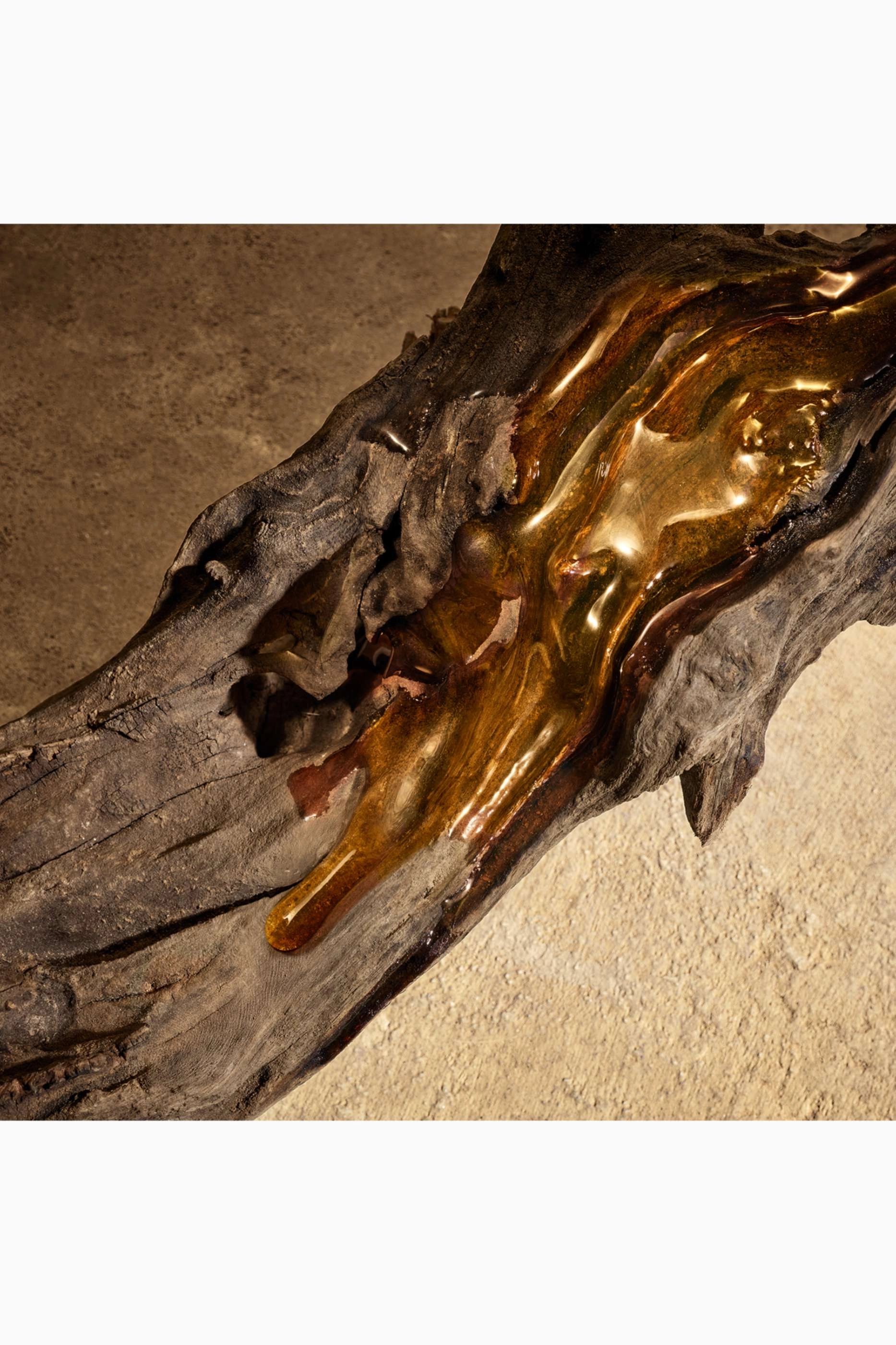 Devotion Pour Homme Parfum - 50ml