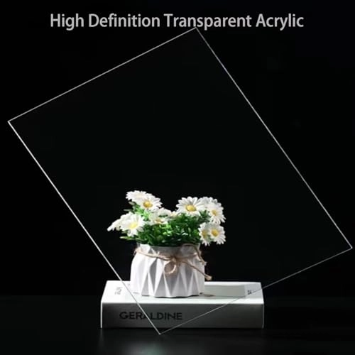 Acrylic Display Case - Black Panther