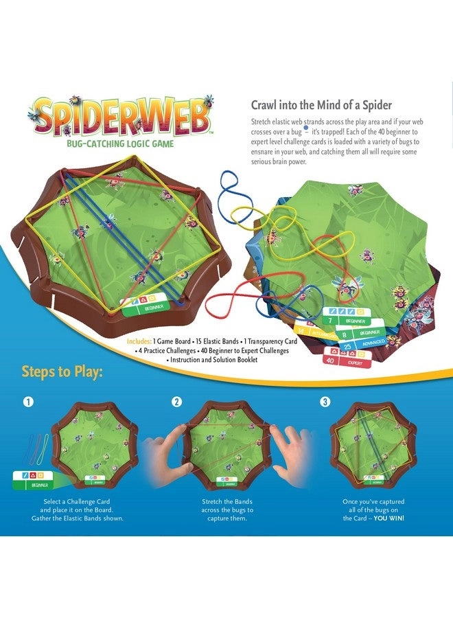 Spiderweb: A Bug Catching Logic Game