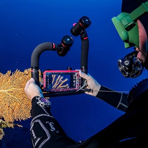 3000 Color Boost - 120deg + Flex-Connect Ultra Dual Tray