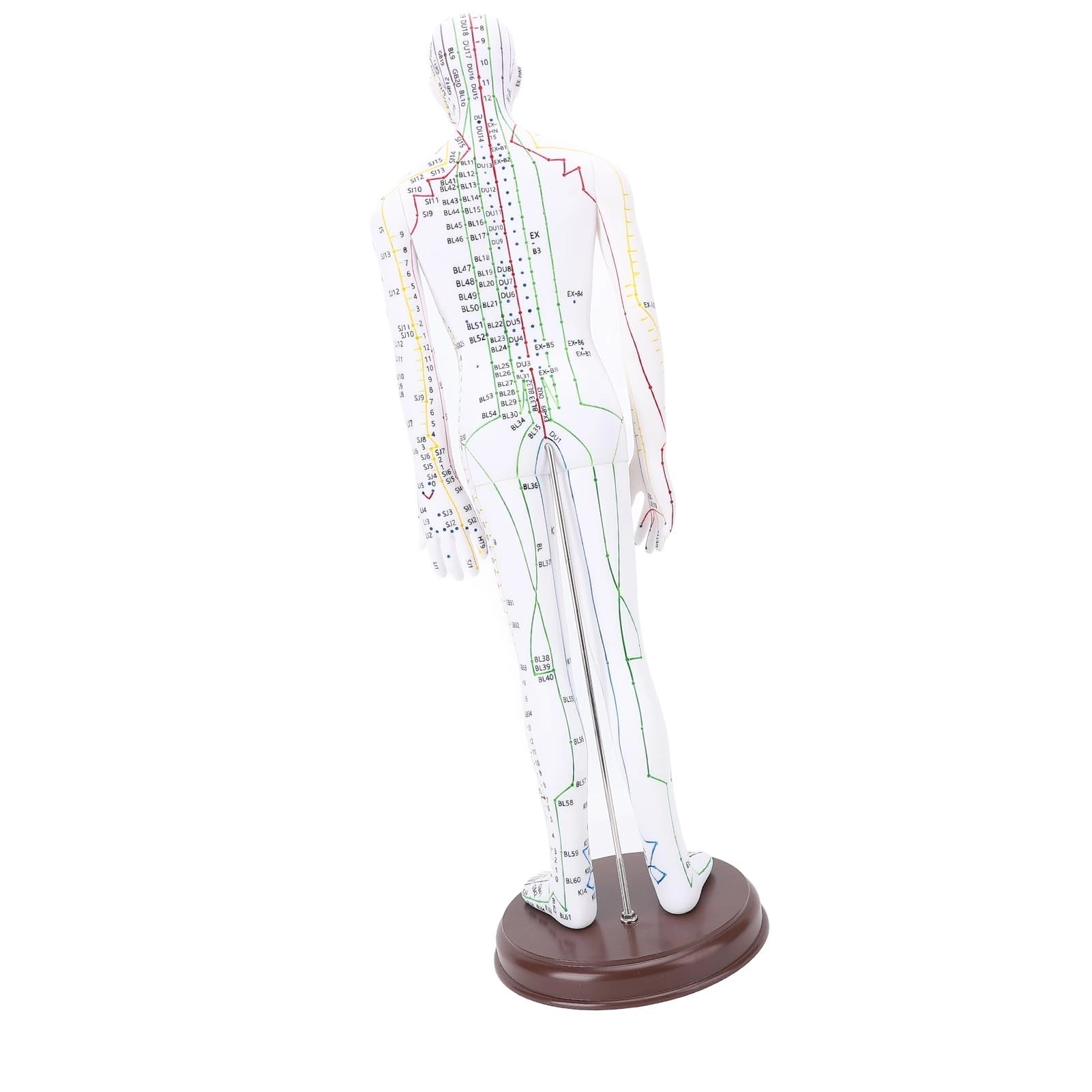Acupuncture Doll