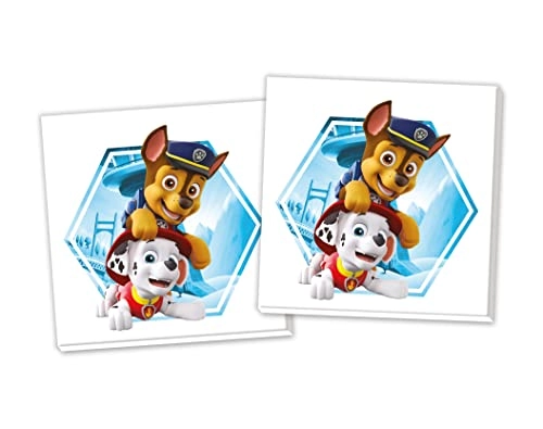 Memo Paw Patrol - 0 - 6 years