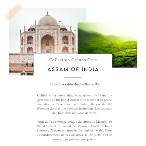 Assam of India Eau de Parfum 100ml