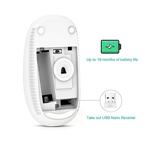 Slim Portable Mouse - Wireless