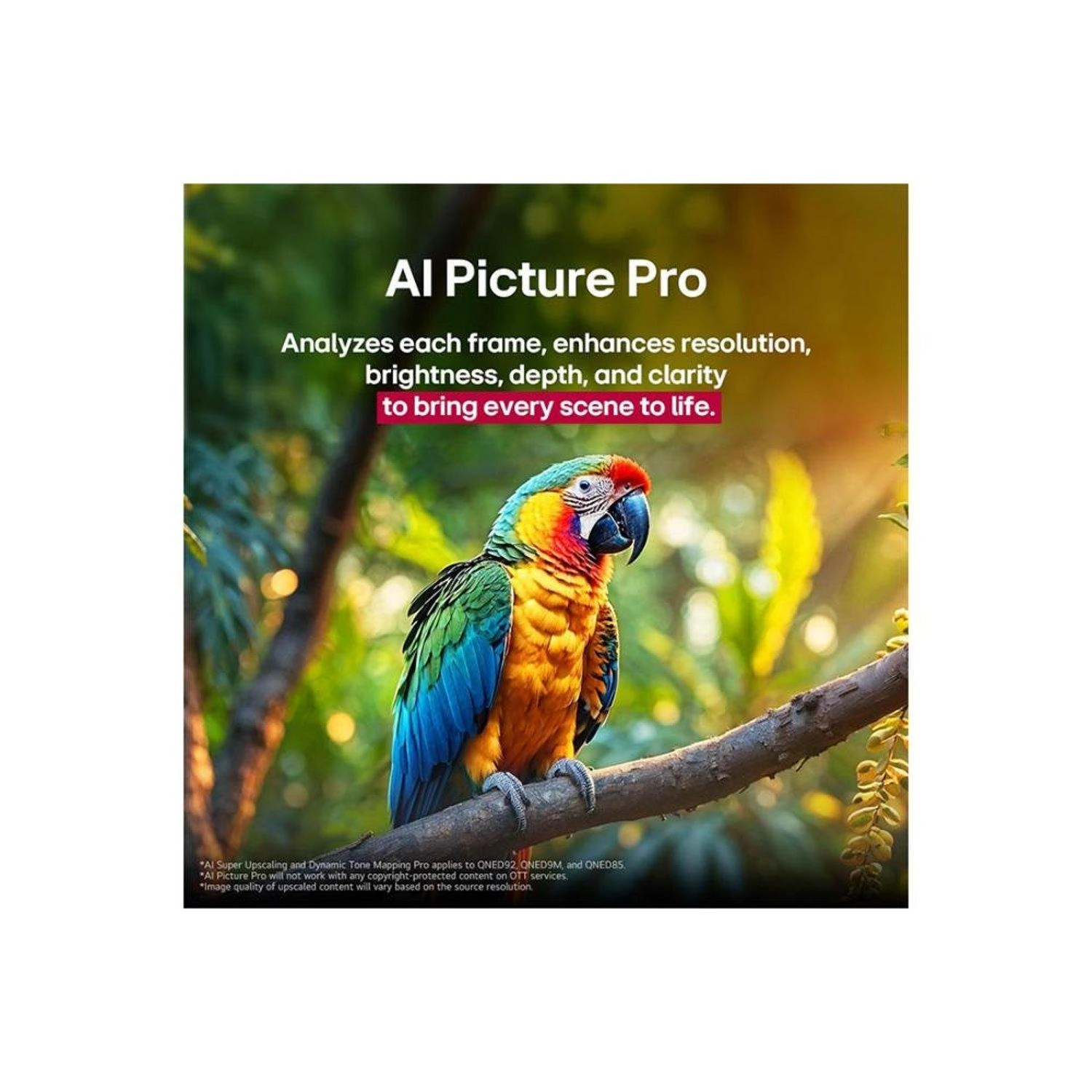 100QNED86A6-AMAG - 100 Inch