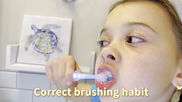 SG977 - Kids 2 Mins Timer 4 Brush Heads