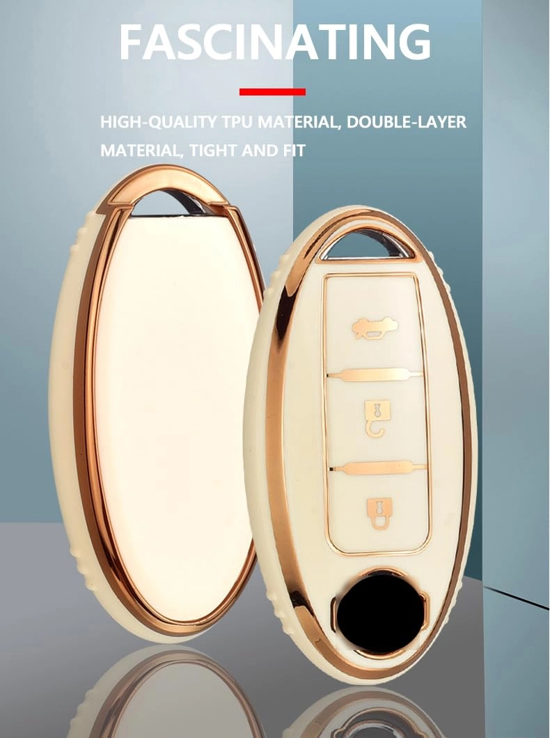 Car key case