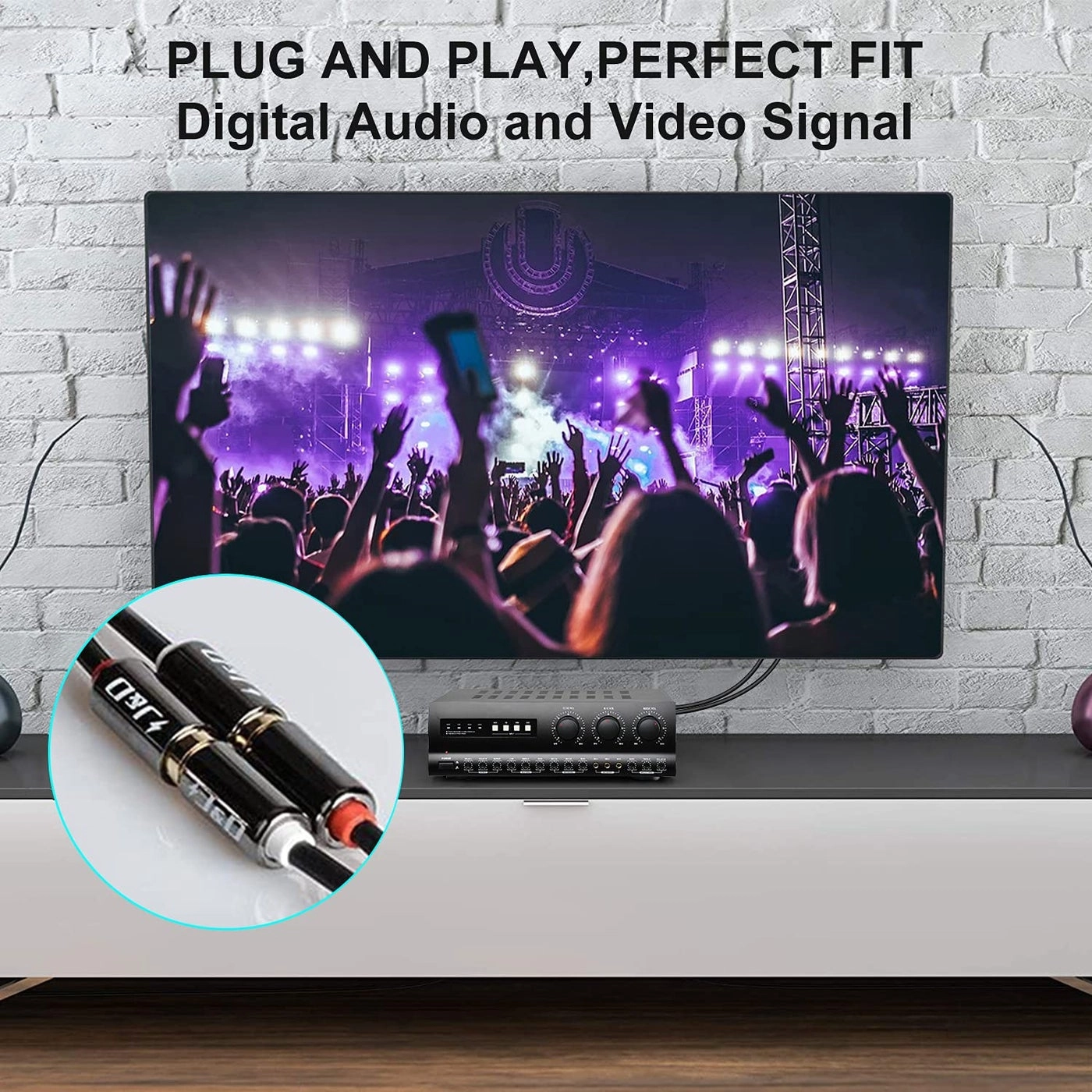 2 RCA Extension Cable - 3 Feet