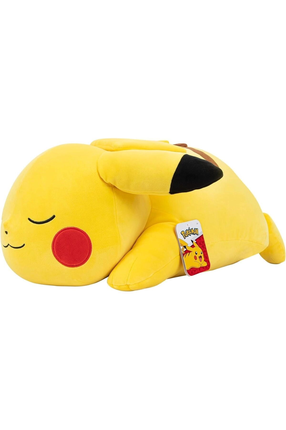 COLOR LAND CHILDRENS TOYS CENTER LLC Pichu Sleeping Plush