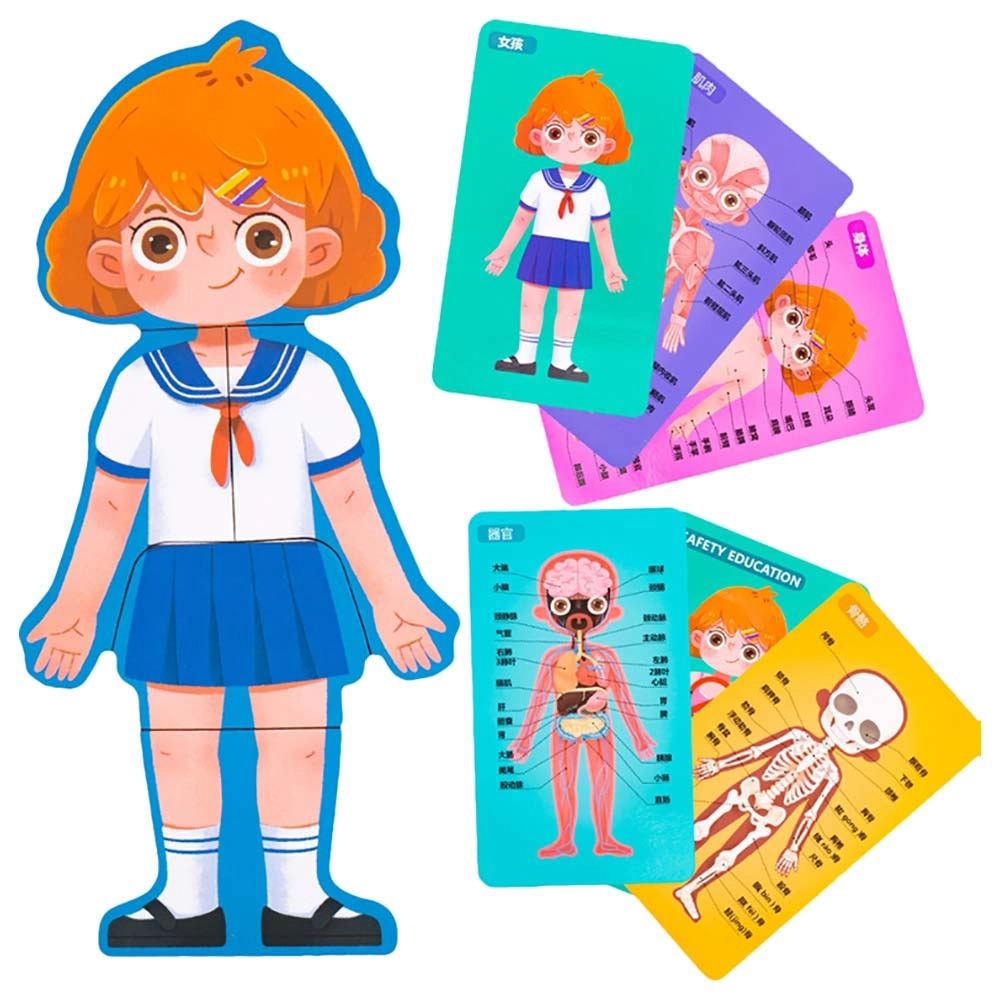 Treehole Body Structure Puzzle - 3 +